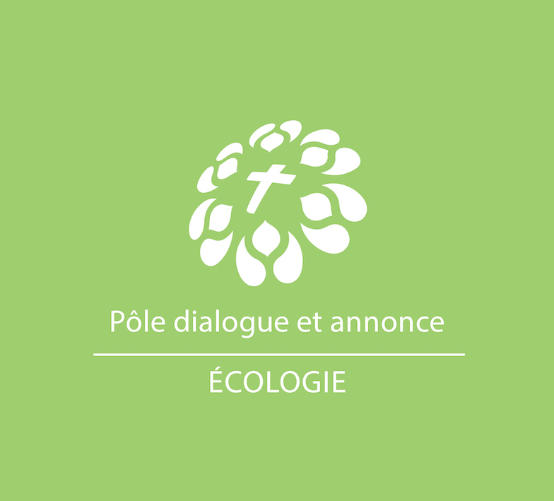 Relier création et rédemption dans la mission des baptisés